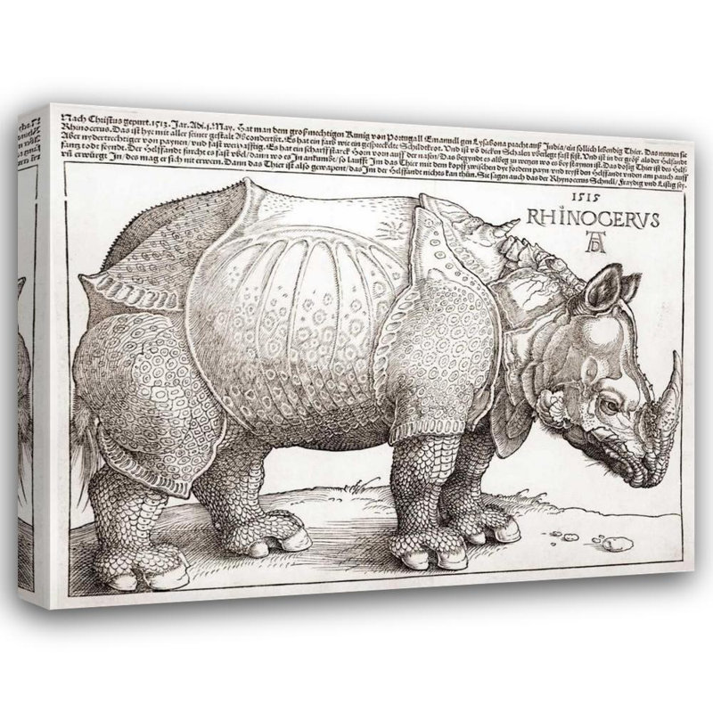 Art sur toile tendue Lark Manor ™ Durer, Albrecht, "The Rhinoceros", H 20 po x l 24 po