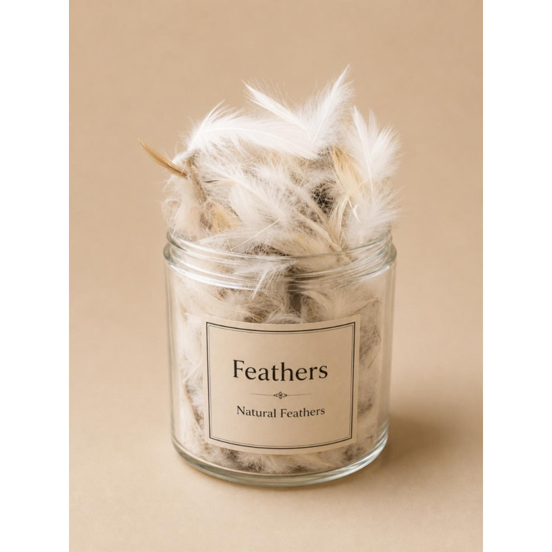 Feather Sham Insert - Square Feather Filled Decorative Pillow Insert - Twin Pack - 26" x 26" - White, 26" x 26"