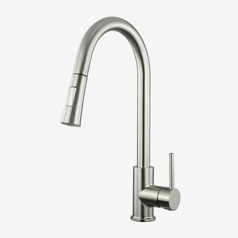 Robinet de cuisine à poignée simple luxueux