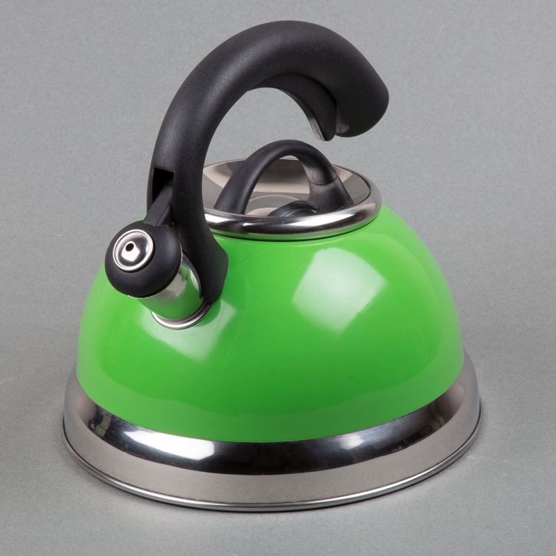 Green Stainless Steel Whistling Tea Kettle with Black Handle