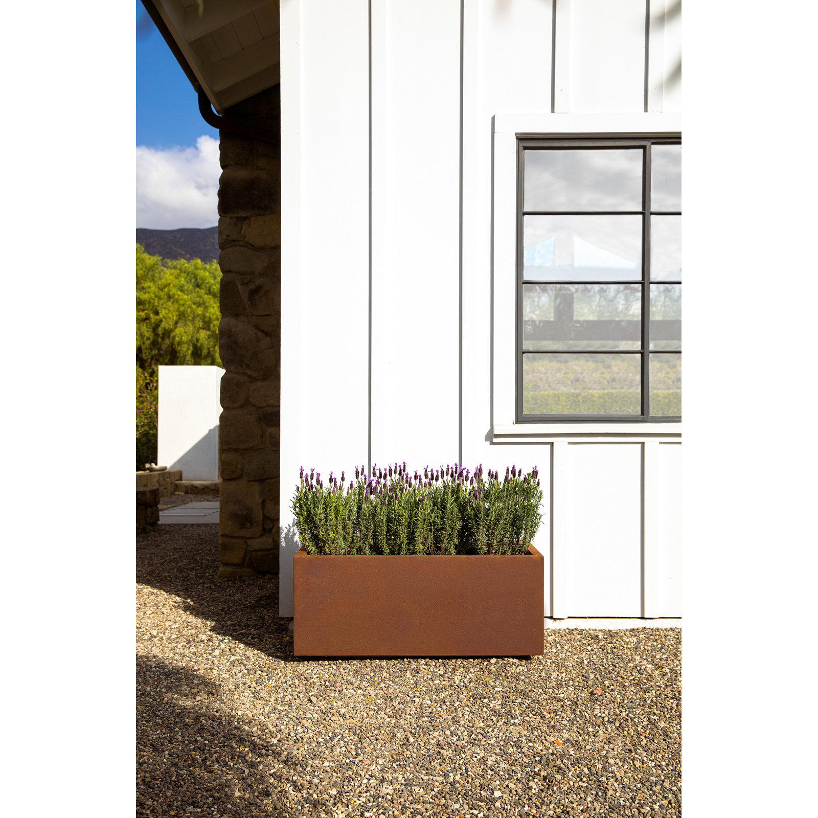Corten Steel Series Long Box Planter, 16.25" H x 38" W x 15" D