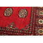 Tapis de bois one-of-kind à la main-noué la 2010 bokhara bleu/rouge 4 pi 1 po x 6 pi zone en laine Fernhurst