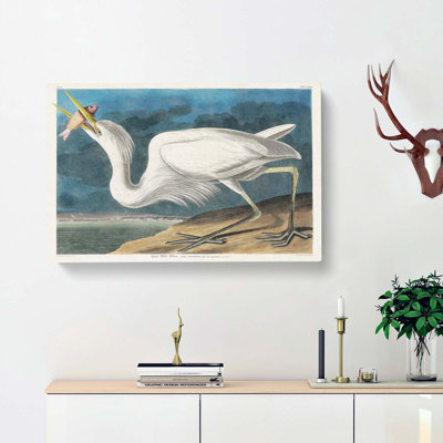 Great White Heron by John Audubon - Wrapped Canvas Painting