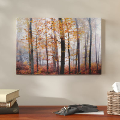 " Lost In The Forest "