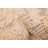 Looma Ivory Rug 8'3" x 9'9"