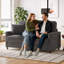 Balaton Vegan 2 Seater Upholstery Sofa with Pillows-1128990770-1136940806