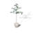 Artificial Green Maple Wabi-Sabi Flower Pot