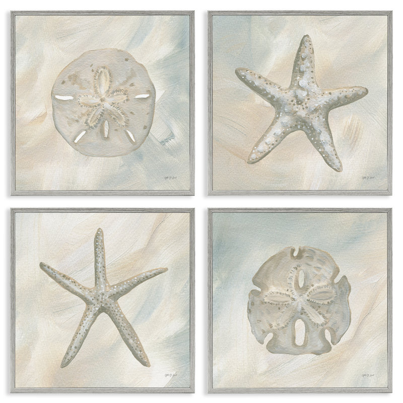 «Neutral Starfish & Sand Dollars» par PC, Cadre gris, H 17 po x l 17 po