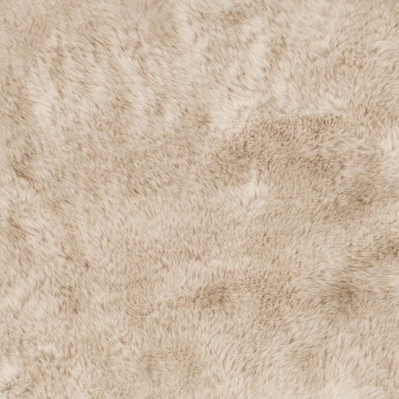 Tapis beige light Taneytown, Rectangulaire 3 pi x 5 pi