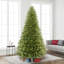 Lighted Artificial Fir Christmas Tree-845459266