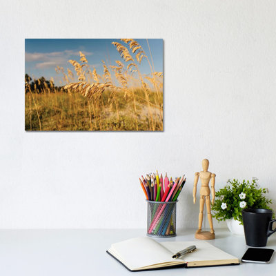 «Hilton Head Island» par Bethany Young, reproduction de photo sur toile tendue