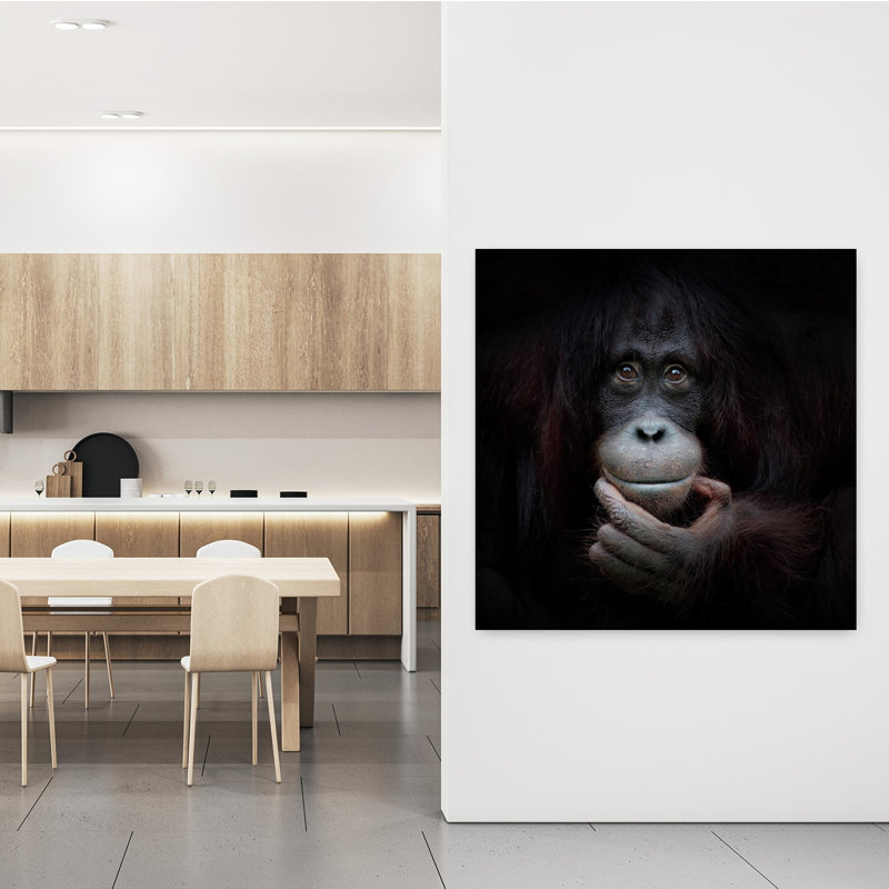 Art contemporain singe contemporain, H 48 po x l 48 po