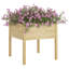 Alasteir Wood Planter Box-1392064339-1392064338