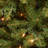 Aspen Spruce Tree with Clear Lights-1896640432