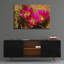 «Hedgehog Blooms Az 7131» par Mike Jones, art mural en verre acrylique, 36 po x 24 po-132496527