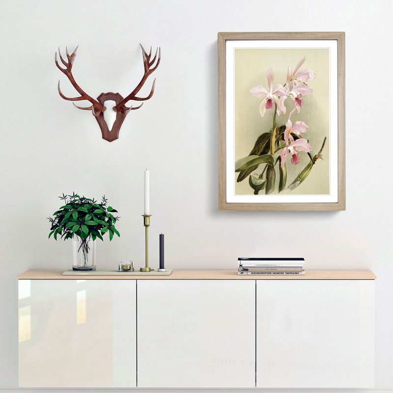 Magnolia Flowers Illustration Tab. 85 by Frederick Sander - Picture Frame Painting Print, Oak, 91cm H x 60cm W x 2cm D