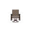 Belle Isle Sling Aluminum Frame Dining Height Swivel Rocker with Marine Grade Polymer Arm Accent-1423646800-1423646801