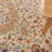 Vetri Oriental Indoor Rug-886090969