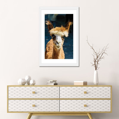 «Happy Brown Alpaca» par Susan Vizvary - reproduction d'art