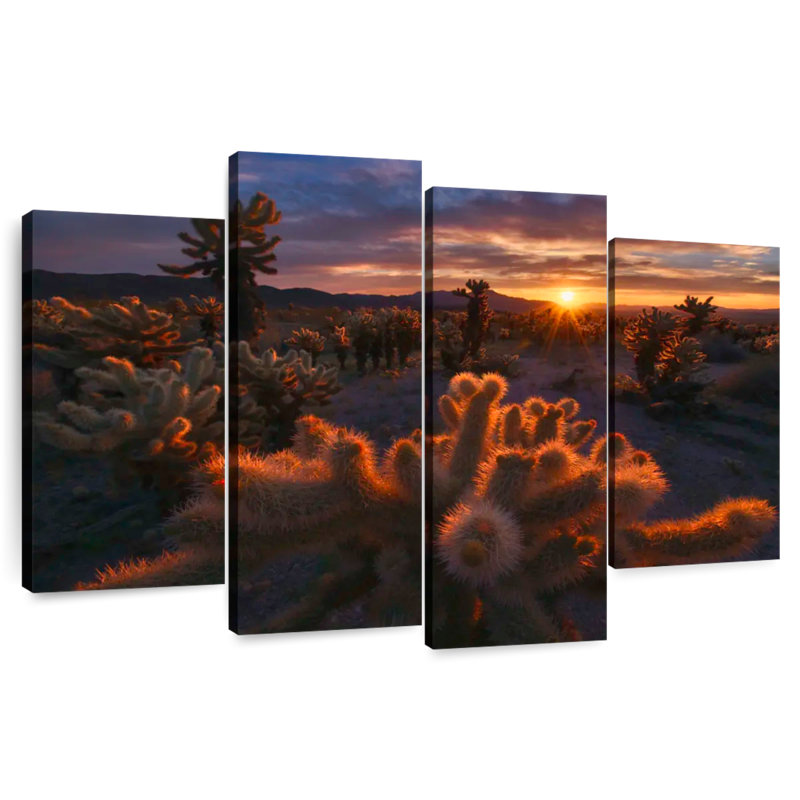 Alvord Mojave Desert Sunrise, H 48 po x l 75 po