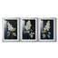 FLORAL Series CLxxv - impression encadrée sur mesure de qualité supérieure - 3 pièces-627628993-627629018