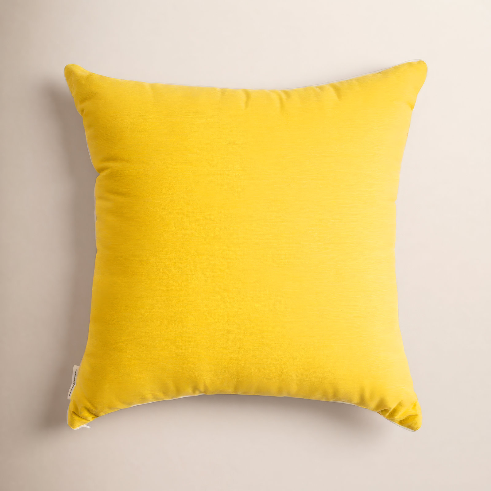Rivie Indoor/Outdoor Throw Pillow, Yellow, 26"H x 26"W