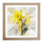 Daffodil Gestural Art - Framed Print-1661493319
