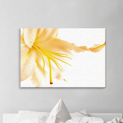 Print on Canvas