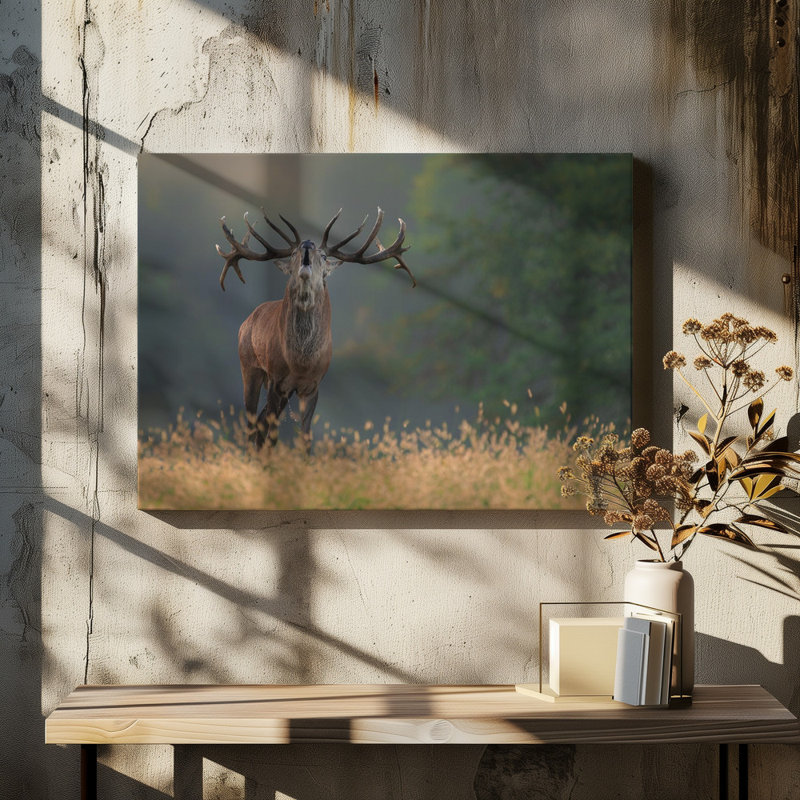 Wrapped Canvas Print, 81.28 cm H x 121.92 cm W