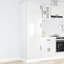 Kitchen Cupboard Kalmar Engineered Wood-1308268241