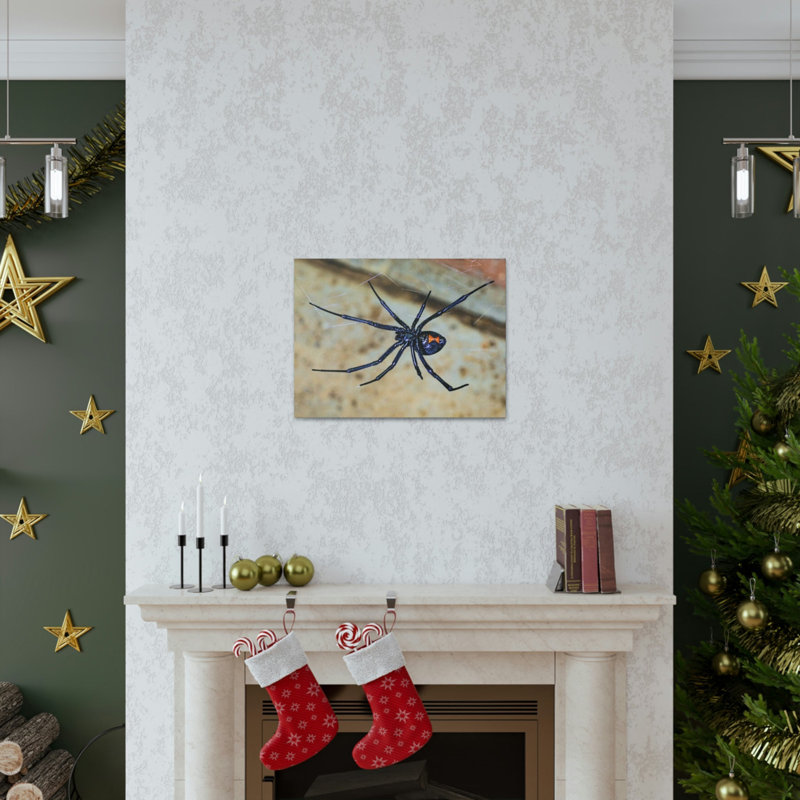 «Black Widow H chasse», art mural animal, H 18 po x l 24 po