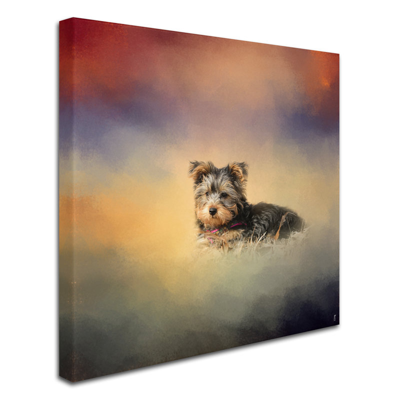 Yorkie Loving The Leaves Canvas Print in Warm Tones