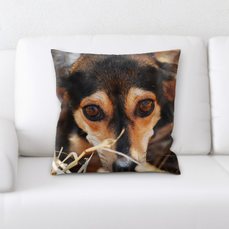 Coussin pour chien