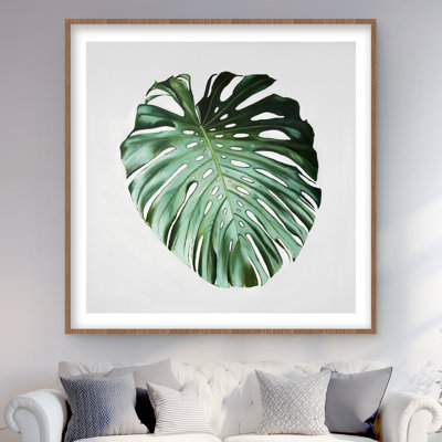 Reproduction botanique encadrée de feuilles Monstera - décor botanique vert
