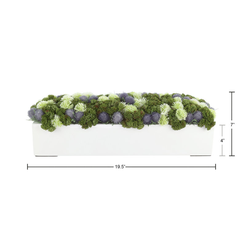 Sedum and Thistle Arranged in Rectangular Planter