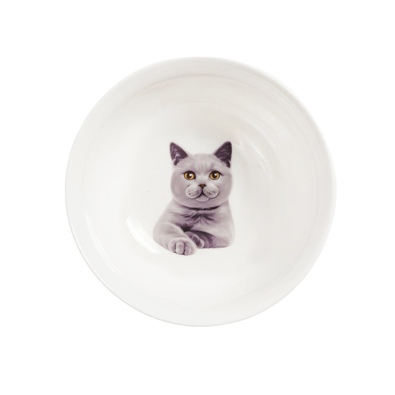 Bol en porcelaine - Chartreux