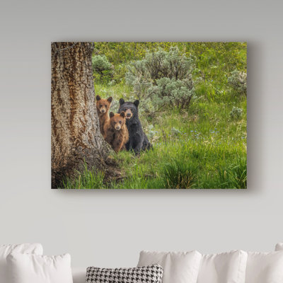 Fillmer 'Sow and Cubs Family' Photographic Print on Wrapped Canvas