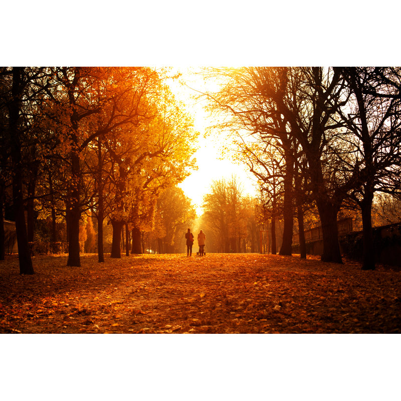 «Autumn Day» par Aleksandarnakic, H 12 po x l 18 po