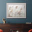 " Delicate Pampas "-618546185