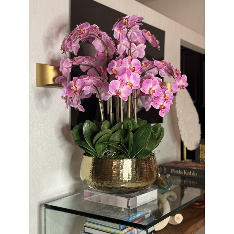 Roberi Orchid Arrangement in Planter, 38" H x 22" W x 22" D