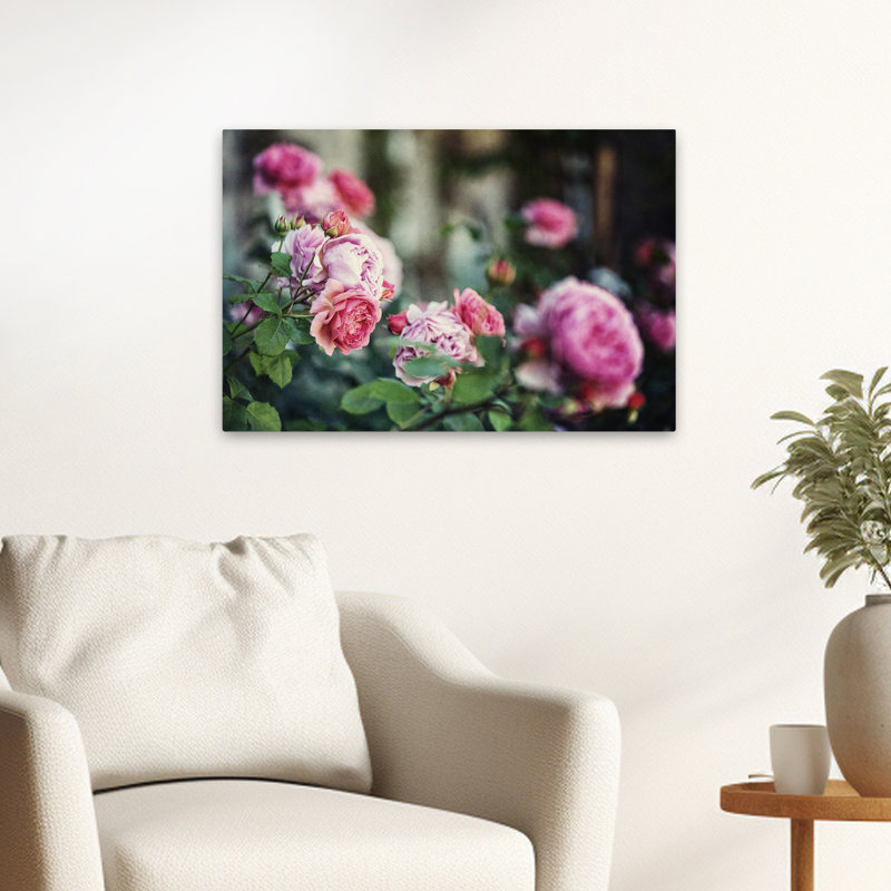Plantes, fleurs, roses d'Ecosse II, art mural, H 16 po x l 24 po