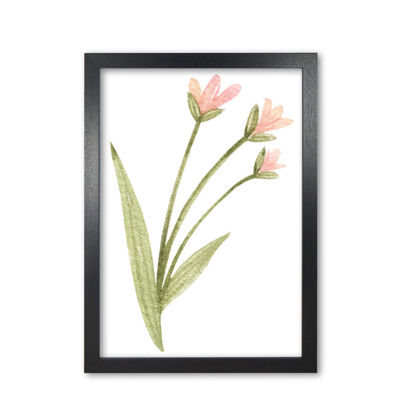 Watercolour Flower 1 - Painting, Black Grain Frame, 60 cm H x 42 cm W x 5 cm D