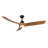 Baylor 60'' Ceiling Fan with LED Lights-95320055