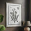 Dandelion I, reproduction encadrée - bois massif 50200-1179145247
