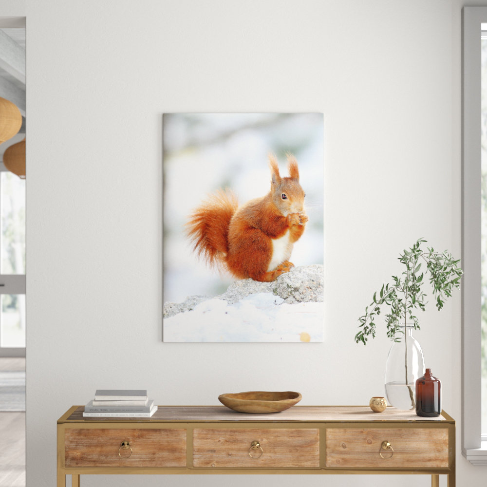 Leinwandbild Eichhörnchen im Schnee, Fotodruck