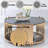 Glass Coffee Table