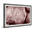 Beauty In Nature - Single Picture Frame Painting-354405519