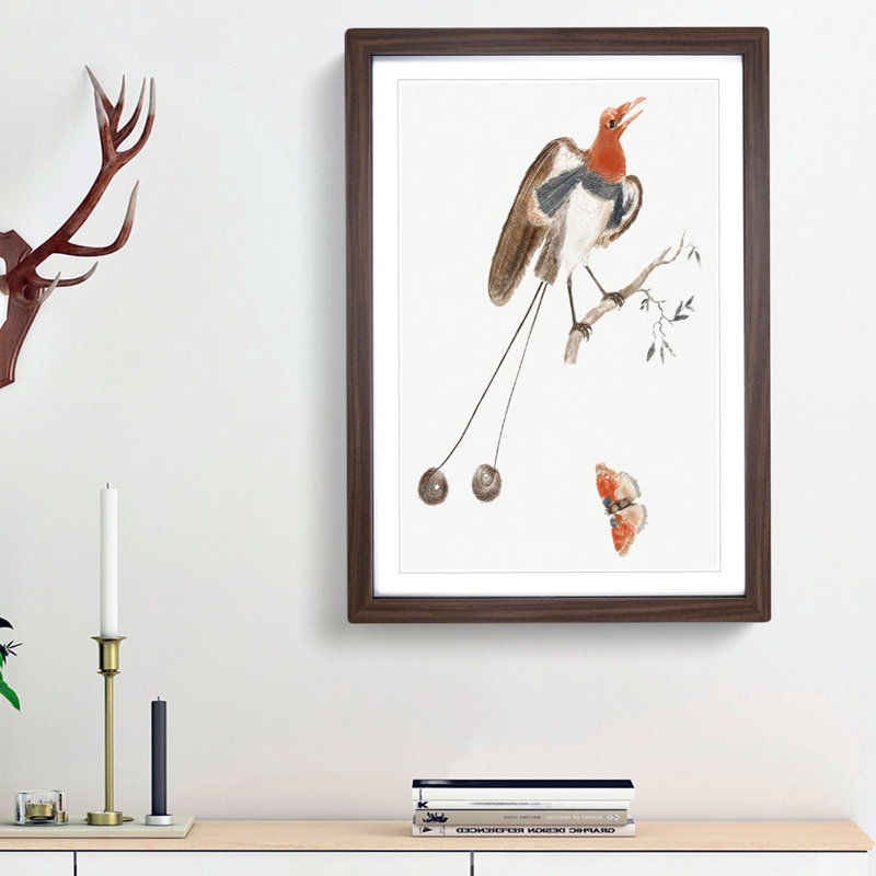 Bird Of Paradise And Butterfly by Johan Teyler - Single Picture Frame Painting, Walnut Framed, 45cm H x 33cm W x 2cm D