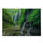 Ambesonne Scenery Cutting Board Large Size Waterfall Forest Green and Brown