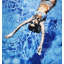 Catching Rays Print by Jeff Schaub-87730504-87730505-87730506